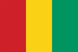 Guinea flag